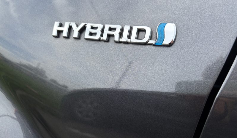 
								Toyota CH-R Hybrid 2019 full									