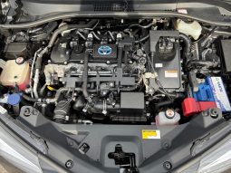 
										Toyota CH-R Hybrid 2019 full									