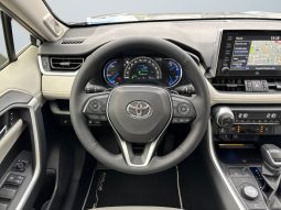 
										Toyota RAV4 Premium 2.5 Hybrid AWD full									