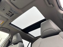 
										Toyota RAV4 Premium 2.5 Hybrid AWD full									