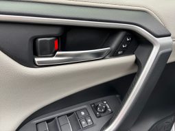 
										Toyota RAV4 Premium 2.5 Hybrid AWD full									