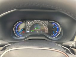 
										Toyota RAV4 Premium 2.5 Hybrid AWD full									