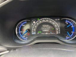 
										Toyota RAV4 Premium 2.5 Hybrid AWD full									