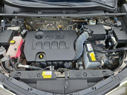 
										Toyota RAV4 2.0 MT 4×4 full									