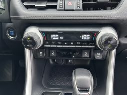 
										Toyota RAV4 2.0 AT 2019 full									