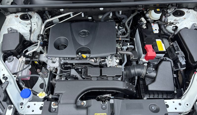 
								Toyota RAV4 2.0 AT 2019 full									