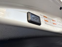 
										Toyota RAV4 Luxury 2.0 b/g AT AWD 2017 full									