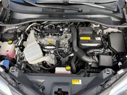 
										Toyota C-HR 1.2T MT full									