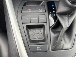 
										Rav4 Hybrid 2.5 Luxury Plus ar pusādas un Alcantara salonu 2021.g. full									