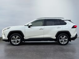 
										Rav4 Hybrid AWD Premium full									