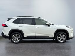 
										Rav4 Hybrid AWD Premium full									