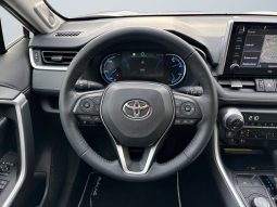 
										Rav4 Hybrid AWD Premium full									