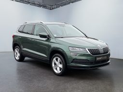 
										SKODA KAROQ 1.5TSI DSG 2020 full									