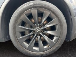 
										Tesla model X 100D full									