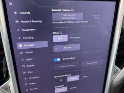 
										Tesla model X 100D full									