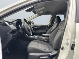 
										Toyota RAV4 2.0 AT 2019 full									